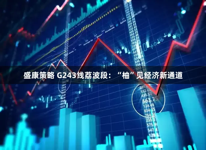 盛康策略 G243线荔波段：“柚”见经济新通道
