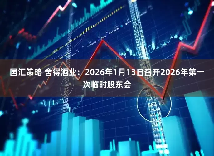 国汇策略 舍得酒业：2026年1月13日召开2026年第一次临时股东会